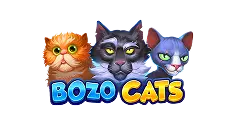 Bozo Cats